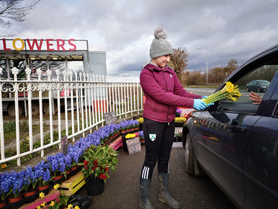 How Flowers Became Part of Elmgrove Farm's Story